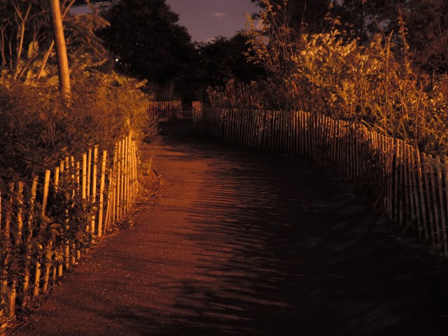 Path into the park.